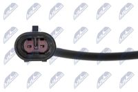 NTY HCA-AR-007 - Sensor, revoluciones de la rueda