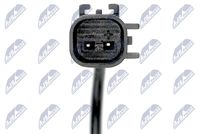 NTY HCA-CH-057 - Sensor, revoluciones de la rueda