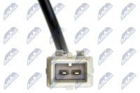 NTY HCA-CT-020 - Sensor, revoluciones de la rueda