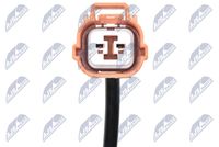 NTY HCA-HD-066 - Sensor, revoluciones de la rueda