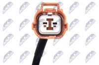 NTY HCA-HD-049 - Sensor, revoluciones de la rueda