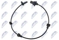 NTY HCAHD140 - Sensor, revoluciones de la rueda