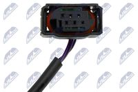 NTY HCA-VW-018 - Sensor, revoluciones de la rueda
