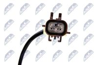 NTY EGT-CH-011 - Sensor, temp. gas escape