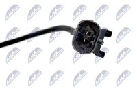 NTY EGT-DW-000 - Sensor, temp. gas escape