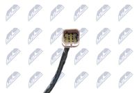NTY EGT-CT-002 - Sensor, temp. gas escape