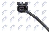 NTY EGT-HY-007 - Sensor, temp. gas escape