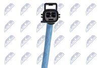 NTY EGT-LR-001 - Sensor, temp. gas escape