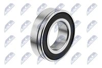 NTY NWP-PL-001 - Árbol de transmisión