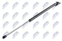 NTY AECH022 - Muelle neumático, maletero/compartimento de carga