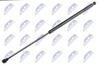 NTY AEHD002 - Muelle neumático, maletero/compartimento de carga