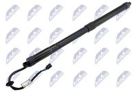 NTY AEHY048 - Muelle neumático, maletero/compartimento de carga