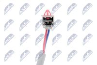 NTY EPS-HD-019 - Elevalunas