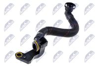 NTY GPPVW127 - Tubo flexible, ventilación del cárter