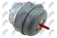 NTY ZPSAU013 - Soporte, motor