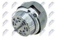 NTY ZPS-AU-012 - Soporte, motor