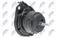 NTY ZPSCH044 - Soporte, motor