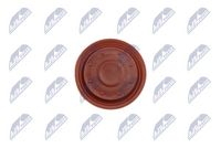 NTY BPZ-VV-002 - Membrana, ventilación del cárter