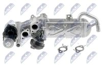 NTY EGR-VW-007 - Válvula EGR