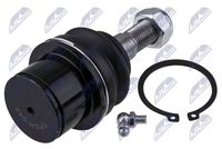 NTY ZSD-CH-042 - Rótula de suspensión/carga