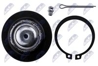 NTY ZSG-NS-005 - Rótula de suspensión/carga