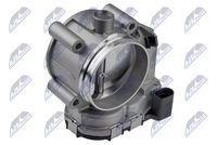 NTY ETBAU009 - Cuerpo de mariposa