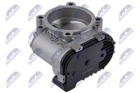 NTY ETB-AU-009 - Cuerpo de mariposa