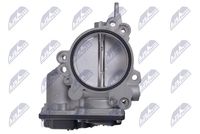 NTY ETB-BM-020 - Cuerpo de mariposa