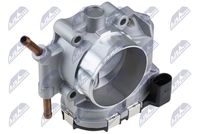 NTY ETBCH005 - Cuerpo de mariposa