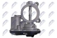 NTY ETB-BM-019 - Cuerpo de mariposa