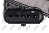 NTY ETB-BM-019 - Cuerpo de mariposa