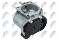 NTY ETB-AU-007 - Cuerpo de mariposa