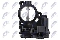 NTY ETB-BM-018 - Cuerpo de mariposa