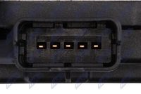 NTY ETB-CT-008 - Cuerpo de mariposa