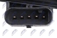 NTY ETB-BM-018 - Cuerpo de mariposa