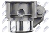 NTY ETB-FR-011 - Cuerpo de mariposa