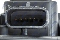 NTY ETB-FR-004 - Cuerpo de mariposa