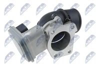 NTY ETB-CT-004 - Cuerpo de mariposa