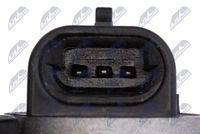 NTY ETB-FT-007 - Cuerpo de mariposa