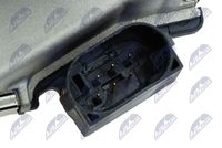 NTY ETB-FT-002 - Cuerpo de mariposa