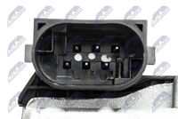 NTY ETB-ME-005 - Cuerpo de mariposa