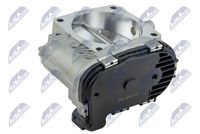 NTY ETB-ME-003 - Cuerpo de mariposa