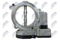 NTY ETB-ME-007 - Cuerpo de mariposa