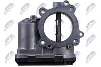 NTY ETB-ME-006 - Cuerpo de mariposa