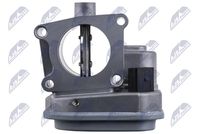 NTY ETB-PL-002 - Cuerpo de mariposa