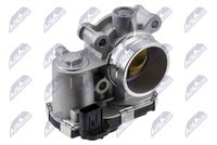 NTY ETBPL019 - Cuerpo de mariposa