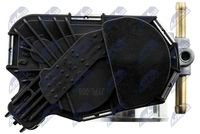 NTY ETB-PL-008 - Cuerpo de mariposa