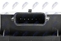 NTY ETB-RE-004 - Cuerpo de mariposa