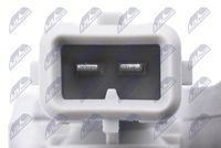 NTY ETB-RE-009 - Cuerpo de mariposa