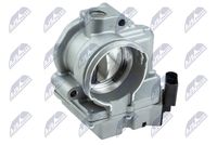 NTY ETBVW032 - Cuerpo de mariposa